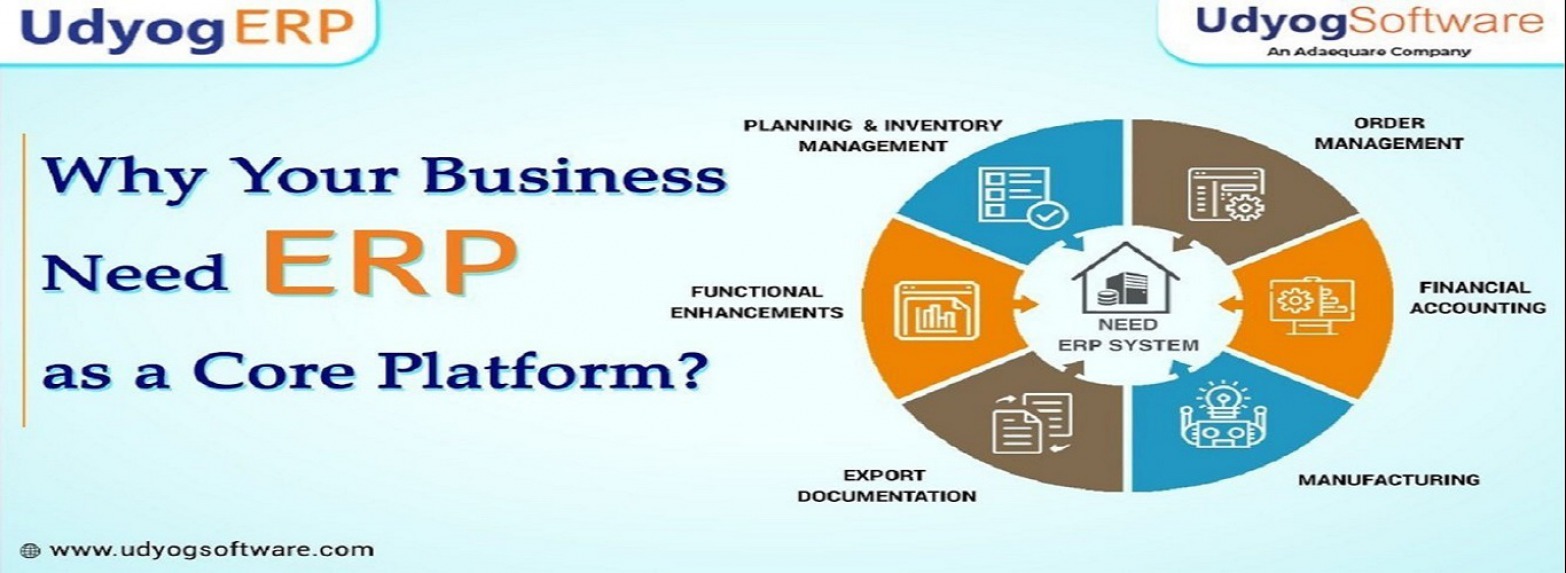 ERP SOFTWARE