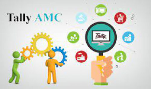 Tally Online or Onsite support AMC